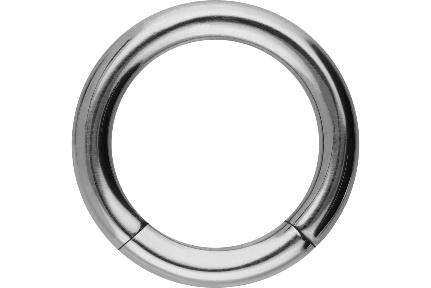 Titan Segmentring von Piercingline